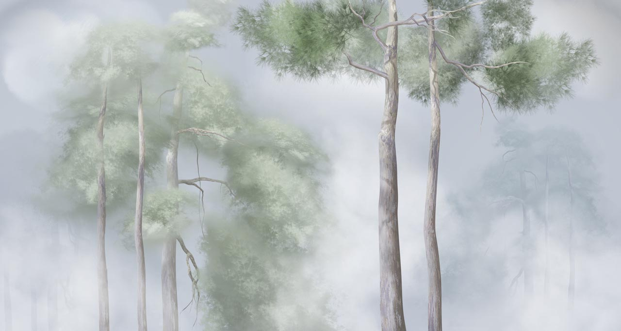 Фотообои Сосны в тумане