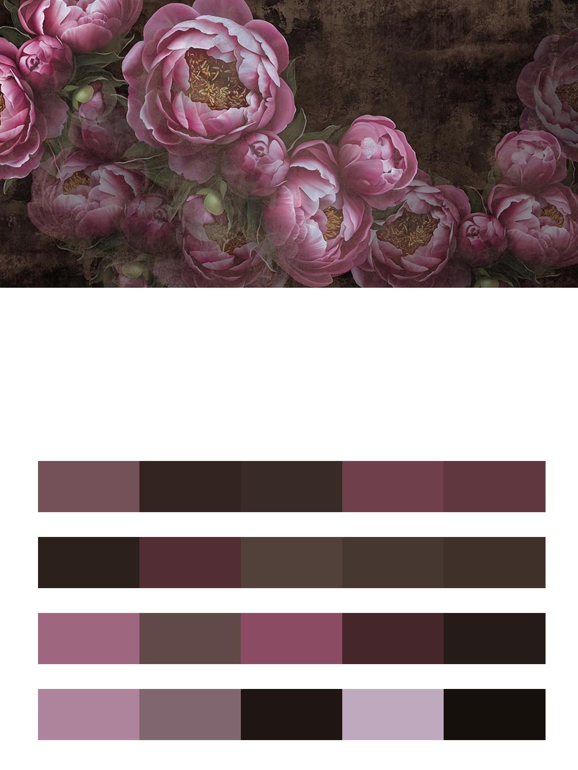 Розовые бутоны пионов цвета